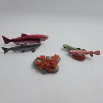 Science Toys