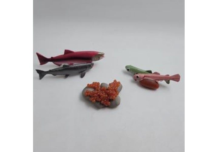 Science Toys