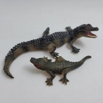 Science Toys