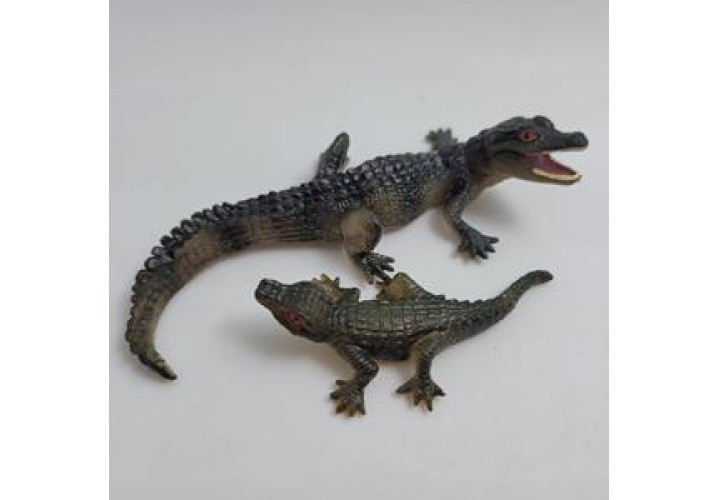 Science Toys