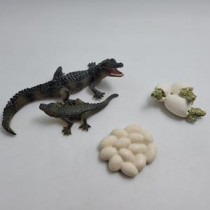 Science Toys