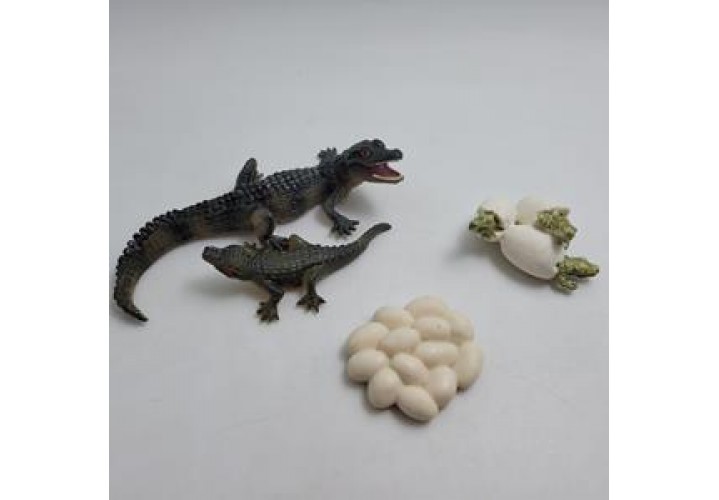 Science Toys
