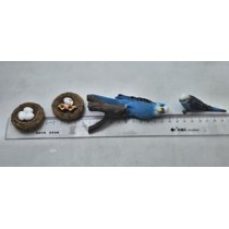Science Toys