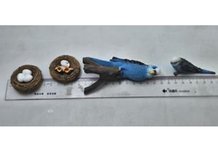 Science Toys