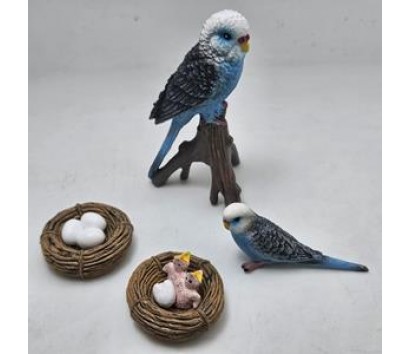 Blue parrot life cycle model