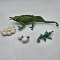 Science Toys