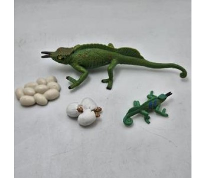 Chameleon life cycle model