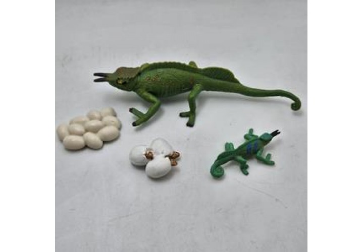 Science Toys