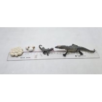Science Toys