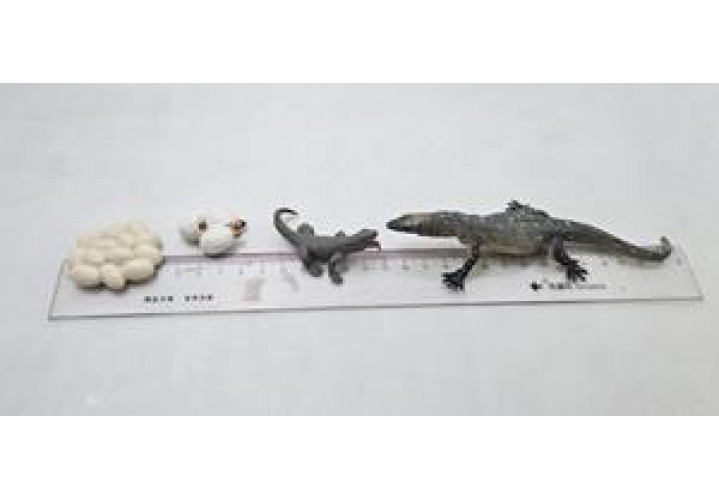 Science Toys