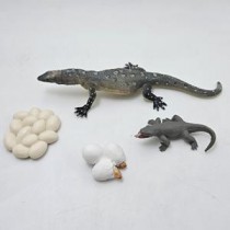 Science Toys