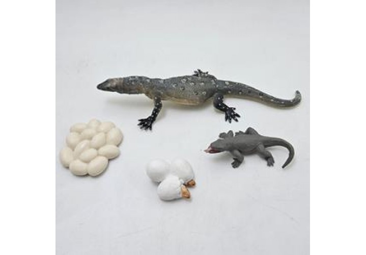 Science Toys