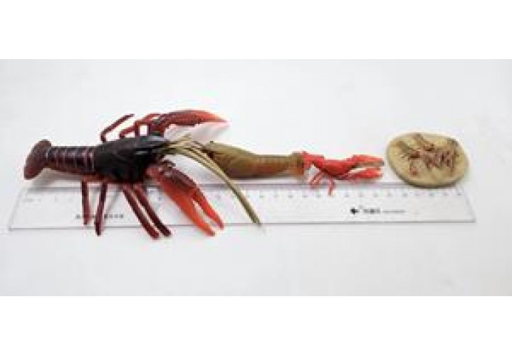Science Toys