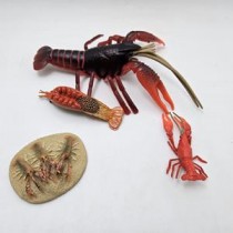 Science Toys