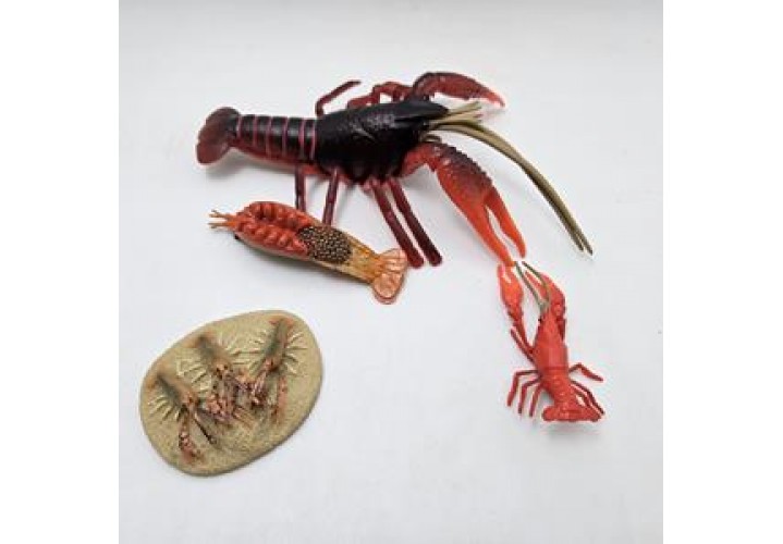 Science Toys