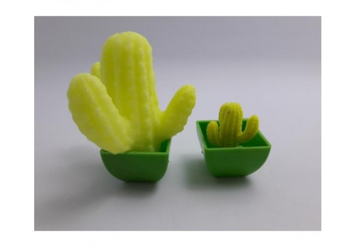 Science Toys
