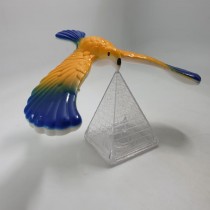 Science Toys