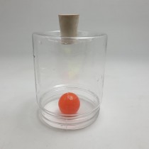 primary science