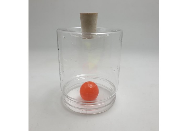 primary science