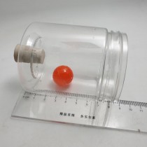 primary science