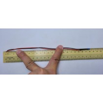 primary science