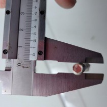 primary science