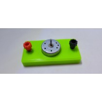 primary science