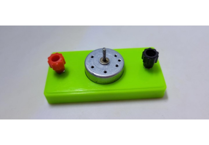 primary science