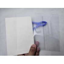 primary science