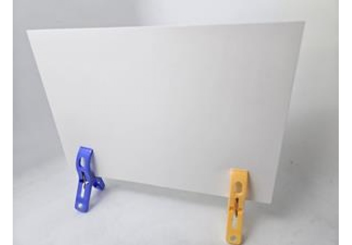 primary science