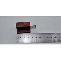primary science