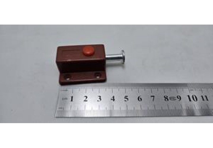 primary science