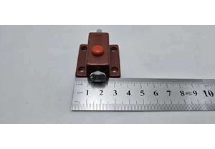 primary science
