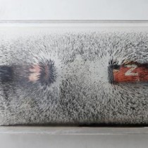 Electricity & Magnestism