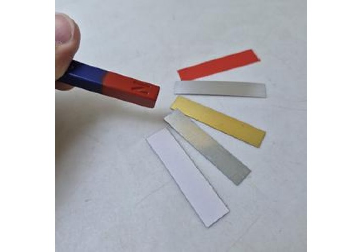 primary science