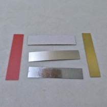 primary science