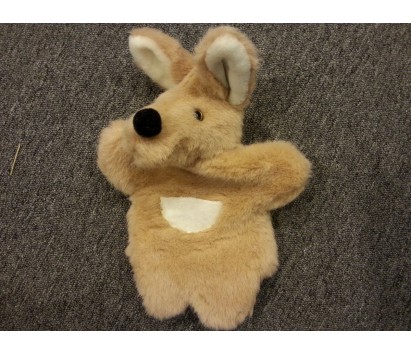 Kangaroo