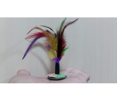 Feather chapteh