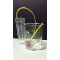 Teaching Aids
