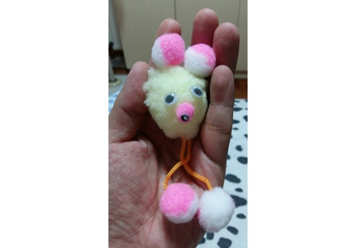 Science Toys