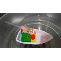 Science Toys
