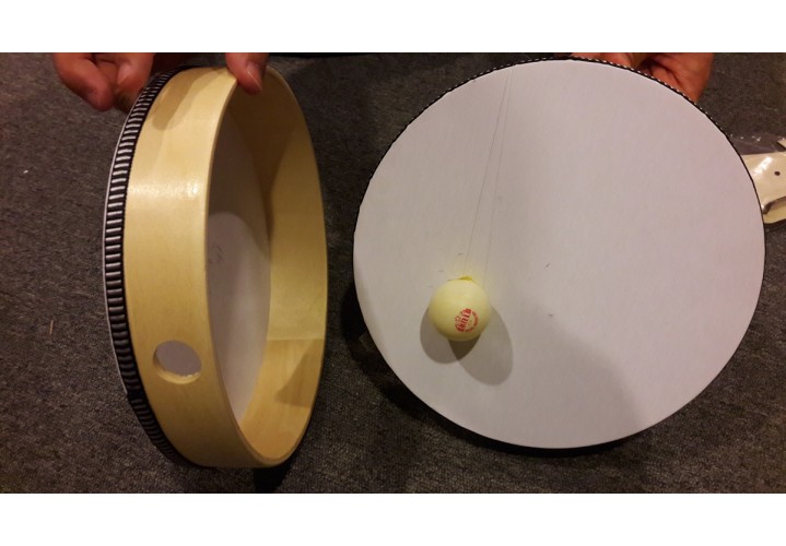 Science Toys