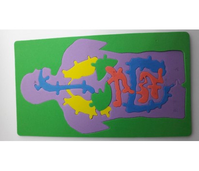 human digestive system jig saw puzzle