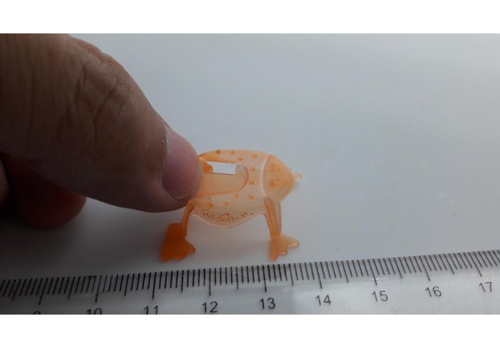 Science Toys
