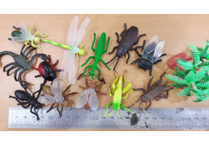 Science Toys