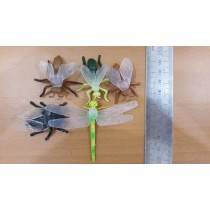 Science Toys