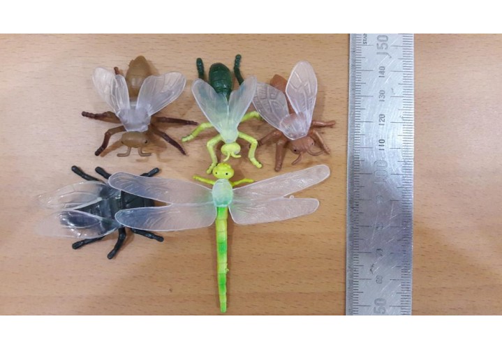 Science Toys