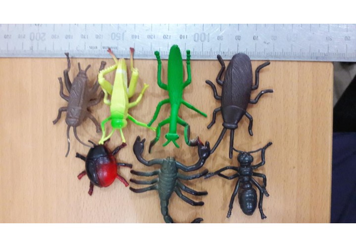 Science Toys