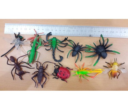 Insect and non-insect models (10 pieces)