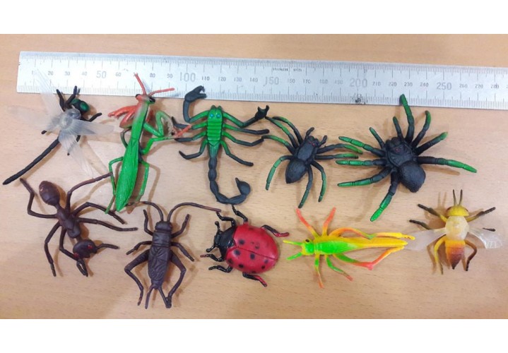 Science Toys